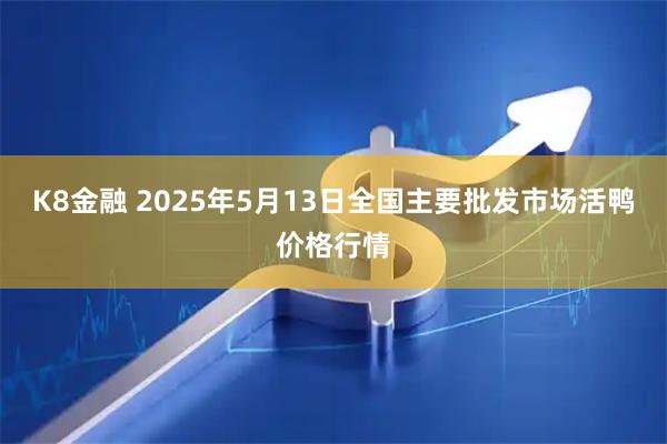 K8金融 2025年5月13日全国主要批发市场活鸭价格行情