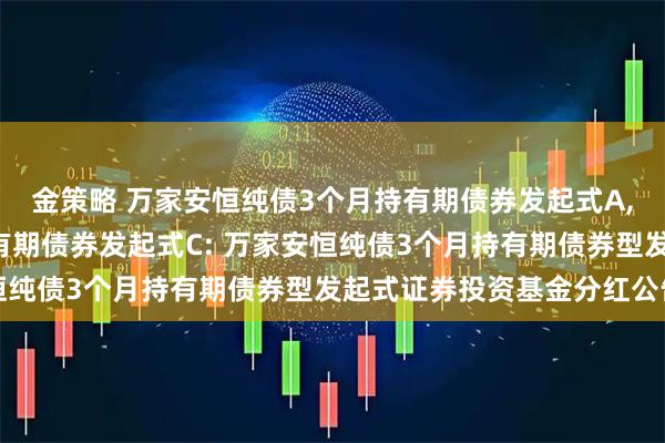 金策略 万家安恒纯债3个月持有期债券发起式A,万家安恒纯债3个月持有期债券发起式C: 万家安恒纯债3个月持有期债券型发起式证券投资基金分红公告