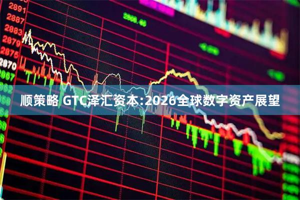 顺策略 GTC泽汇资本:2026全球数字资产展望