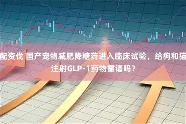 配资伐 国产宠物减肥降糖药进入临床试验，给狗和猫注射GLP-1药物靠谱吗？